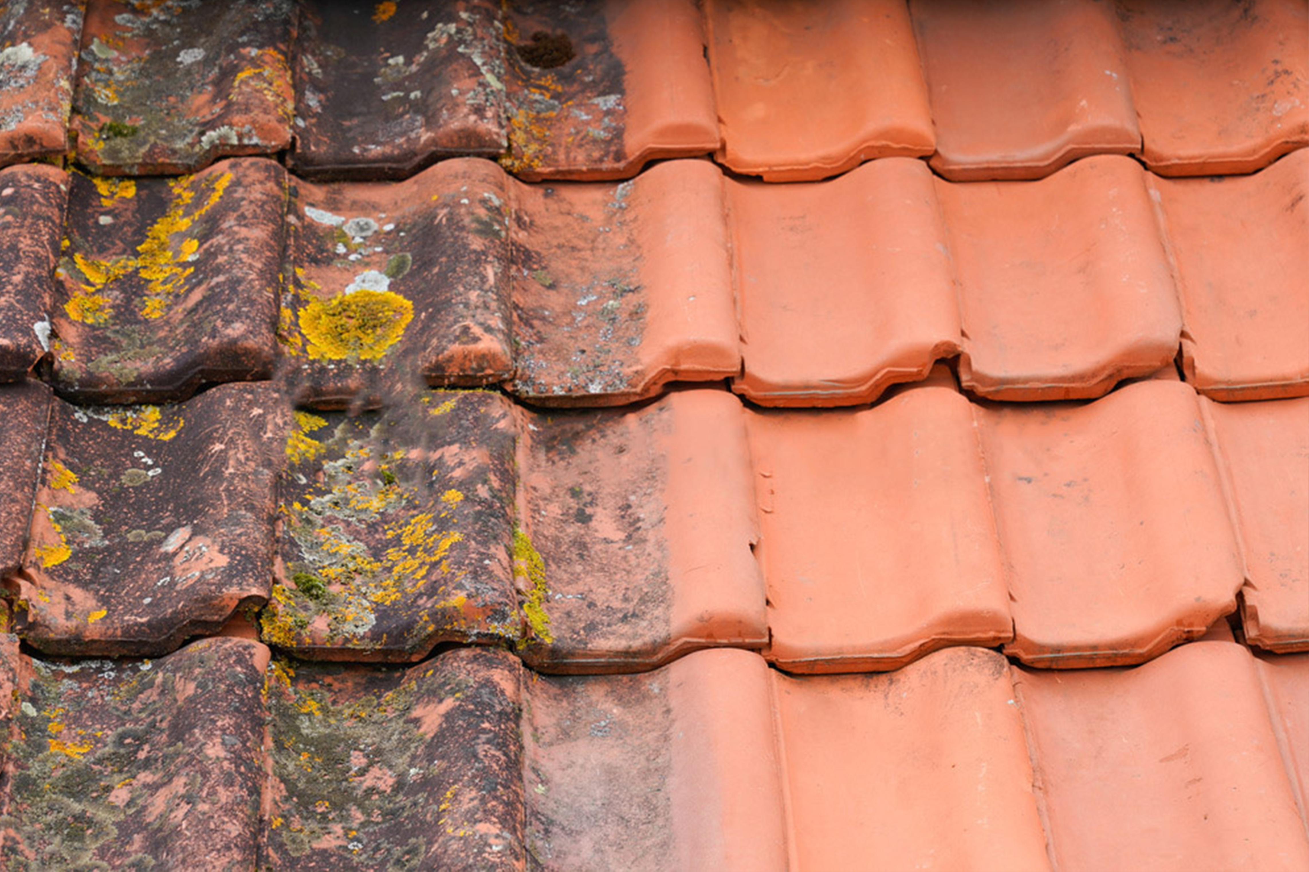 Nettoyage de toiture